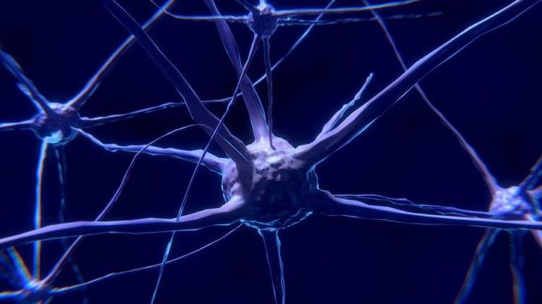 8 tópicos sobre epilepsia que ainda são pouco conhecidos