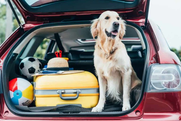 Três dicas para viajar com segurança no fim do ano