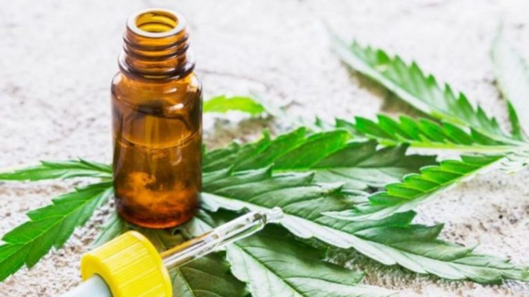 Cannabis medicinal ameniza efeitos da diabetes