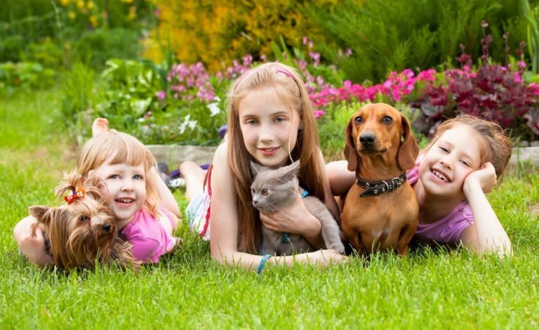 Pediatra fala dos benefícios do convívio entre crianças e pets