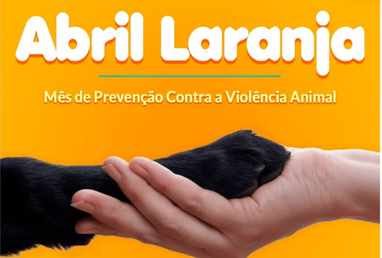 Abril Laranja: especialista alerta para a conscientização e prevenção no mês contra os maus-tratos aos animais