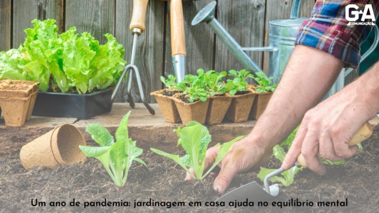 Um ano de pandemia: jardinagem em casa ajuda no equilíbrio mental