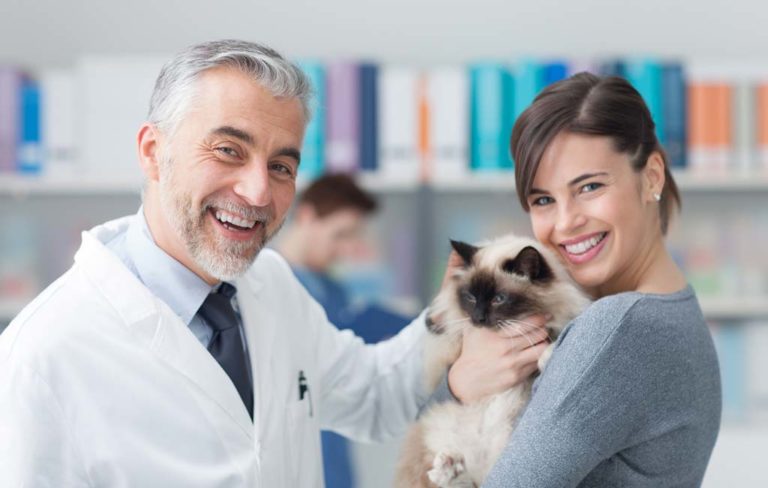 Bom atendimento aos pets deve se estender aos tutores