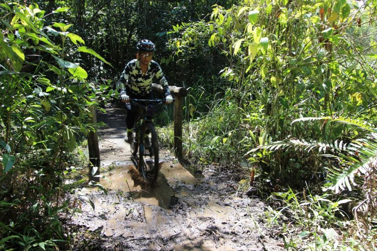 Santuário de preservação, Floresta Nacional de Silvânia proporciona passeio pela riqueza do cerrado