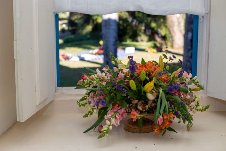 Decorar o ambiente com plantas e flores naturais faz bem à saúde