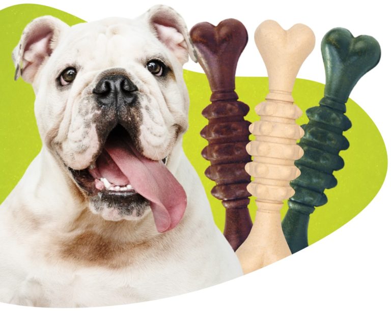 Nova marca de petiscos naturais para cachorro chega ao mercado brasileiro