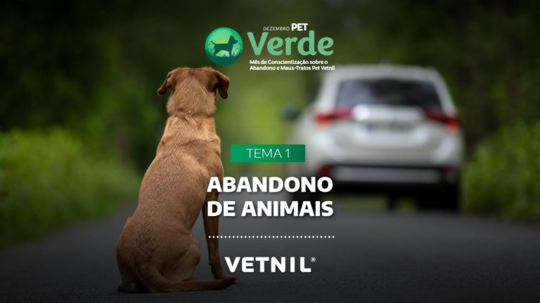 Vetnil® lança campanha Dezembro Pet Verde para reforçar aos tutores sobre o combate ao abandono e maus-tratos aos animais