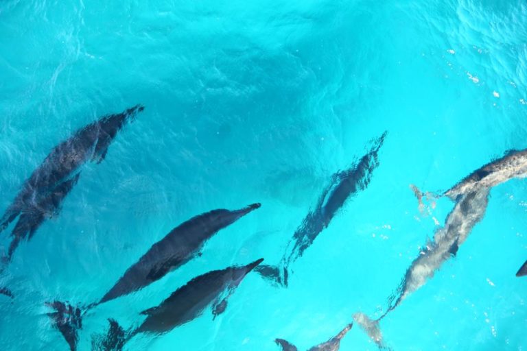 Noronha tem atrações e belezas além das praias