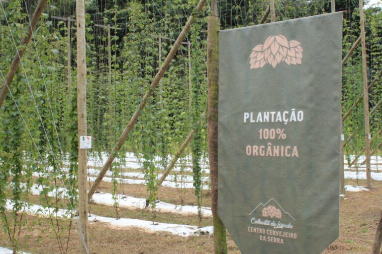 Black Princess lança 2ª edição da Braza Hops, cerveja feita com o lúpulo cultivado em Teresópolis