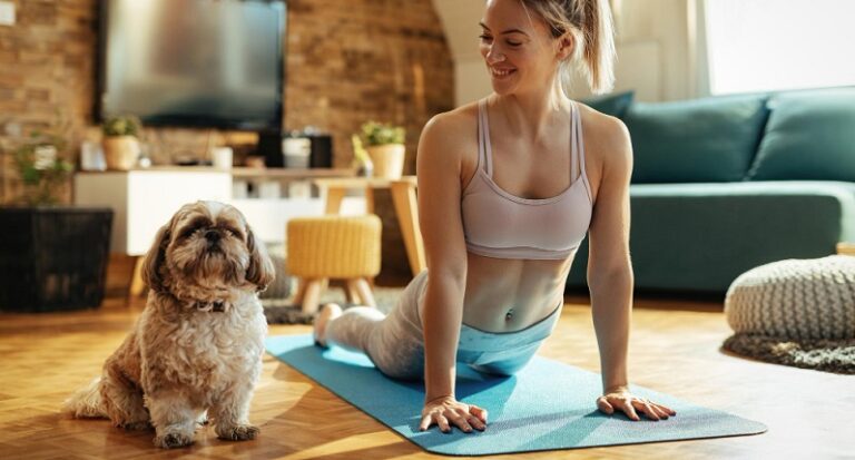 Saiba como ajudar seu pet ficar mais relaxado e sereno