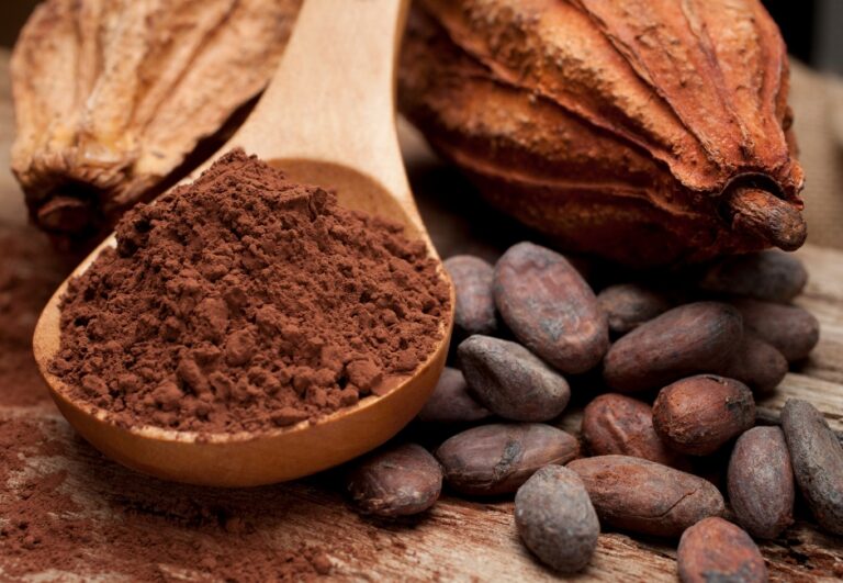 Bebida à base de cacau é garantia de saúde, sabor e muita versatilidade