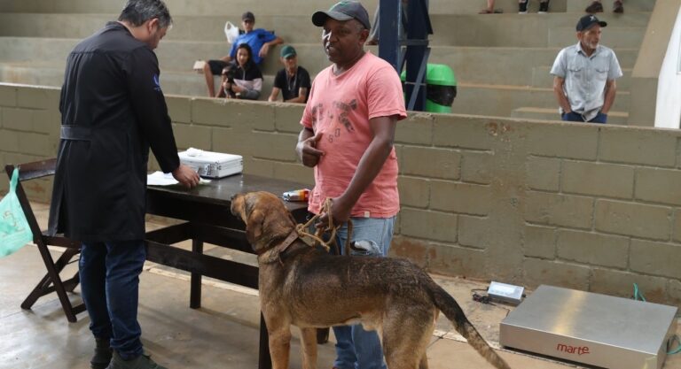 Tutores de cães e gatos podem fazer cadastro para Castramóvel via internet