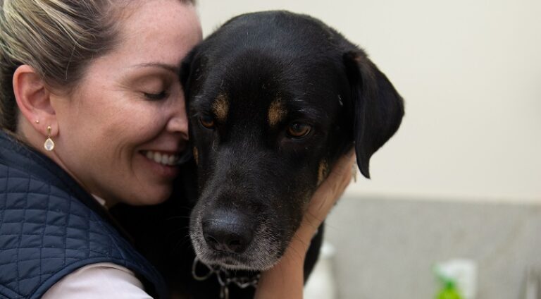 Seis dicas para cuidar da saúde dos pets idosos