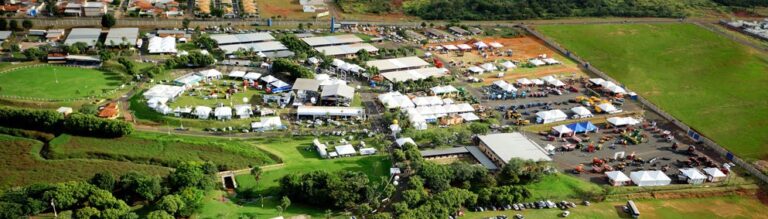 Sebrae Minas promove palestras gratuitas na Femec 2023