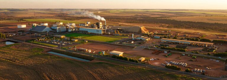 CMAA promove mais uma edição da Abertura da Safra Mineira de cana de açúcar