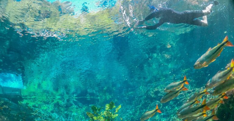 7 motivos para visitar Bonito na baixa temporada