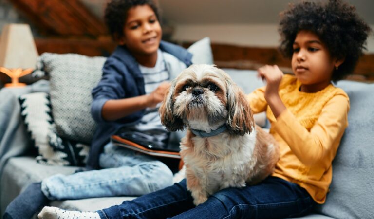 O que as crianças precisam saber antes de ter um animal de estimação