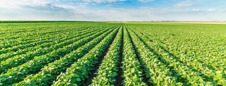 TecnoAgro será palco de debates sobre sustentabilidade