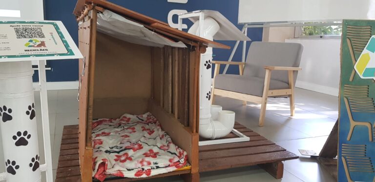 Projeto do UniBH transforma recicláveis em qualidade de vida para animais de rua em Belo Horizonte