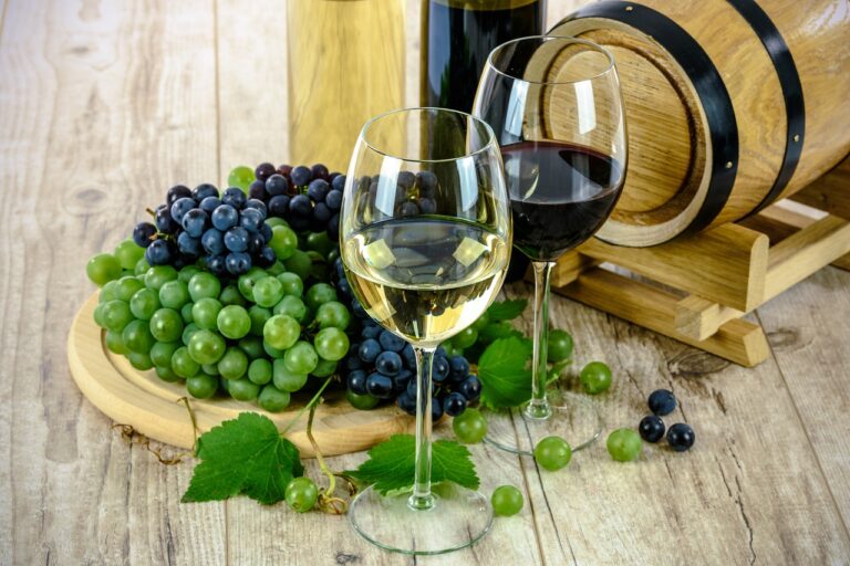 Pratos que harmonizam com os vinhos