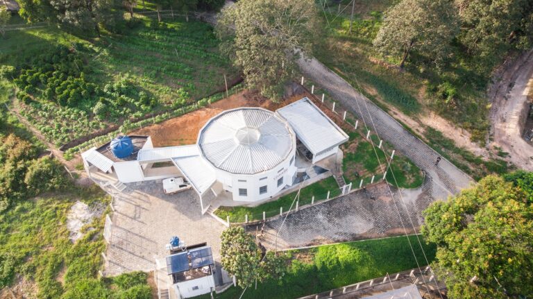 Fazenda de Minas Gerais é pioneira na produção de leite A2
