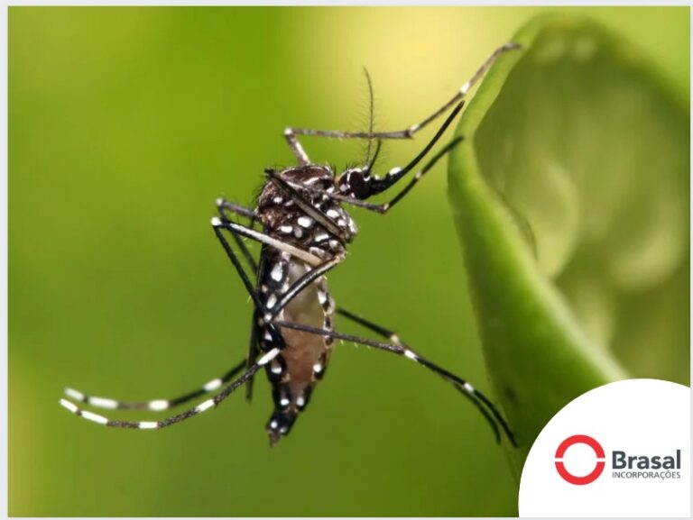 Projeto Aedes do Bem: Brasal Incorporações é a primeira empresa ao adotar projeto em seus canteiros de obras em Uberlândia