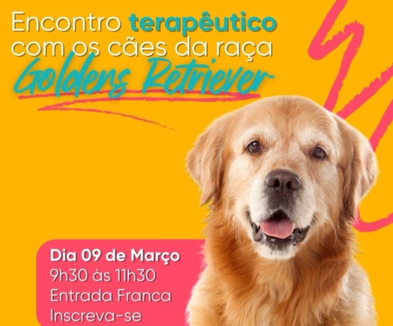Neuropark promove encontro terapêutico entre cachorros da raça Golden e crianças