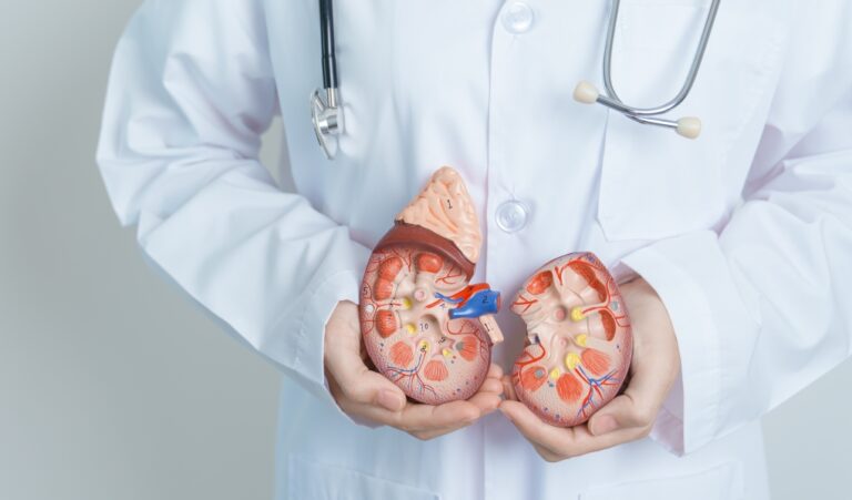 Cerca de 15% da população mundial vive com algum tipo de doença renal