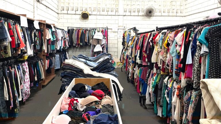 Aniversário do Grupo Luta Pela Vida: Bazar e Viveiro têm edições especiais nesta quinta-feira (6)