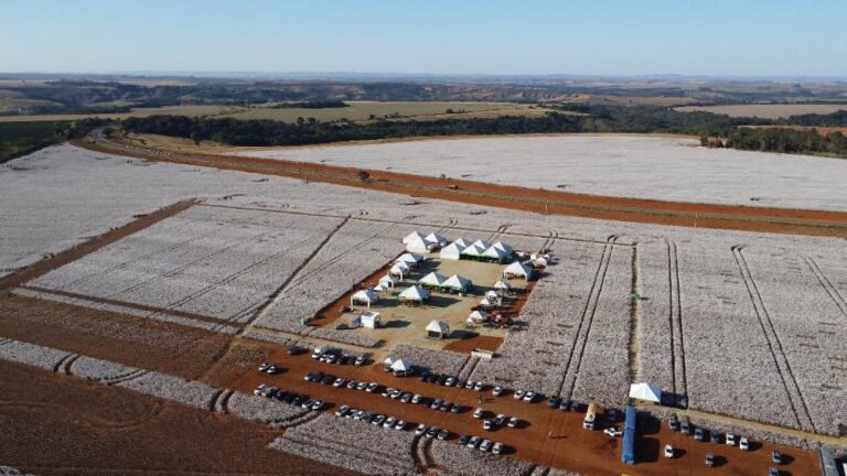 Dia de Campo Amipa 2024 é sucesso de público