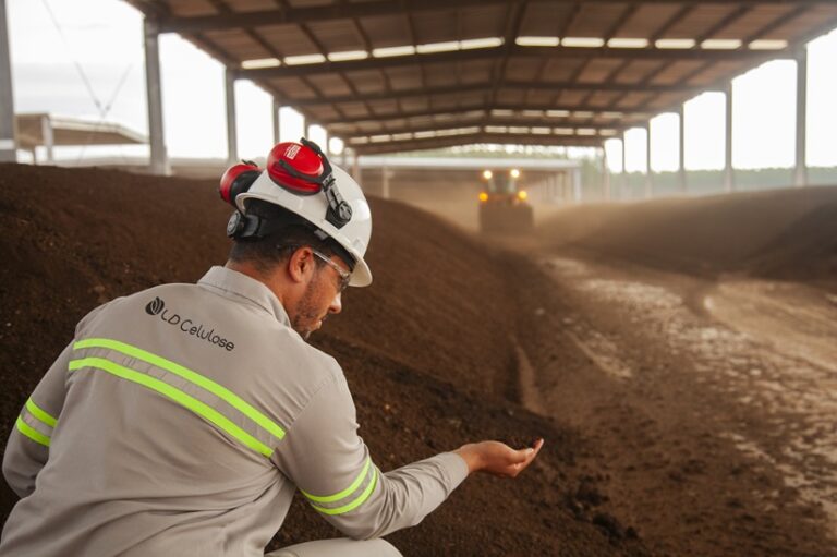 LD Celulose: economia circular é pilar para desenvolvimento de produtos