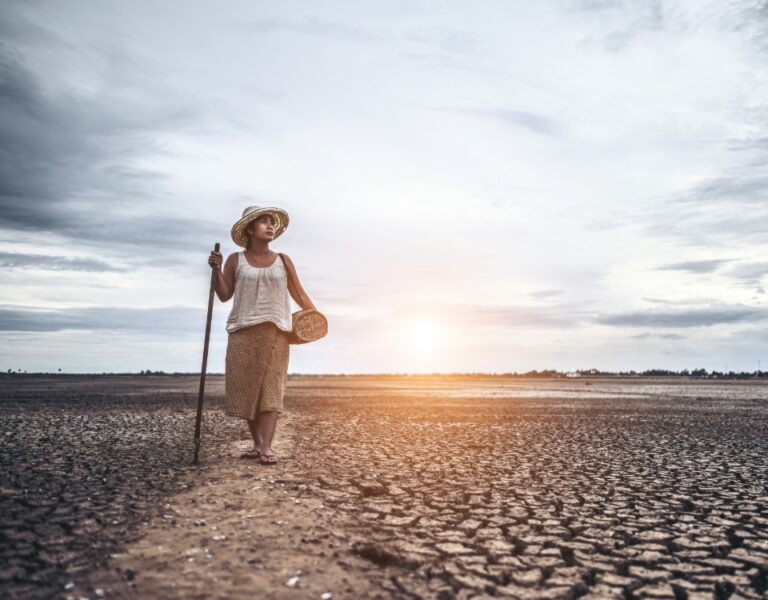 Projetos de resiliência climática miram desastres naturais