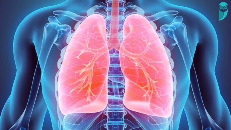 Dia da saúde pulmonar: conheça os cuidados e como se manter saudável