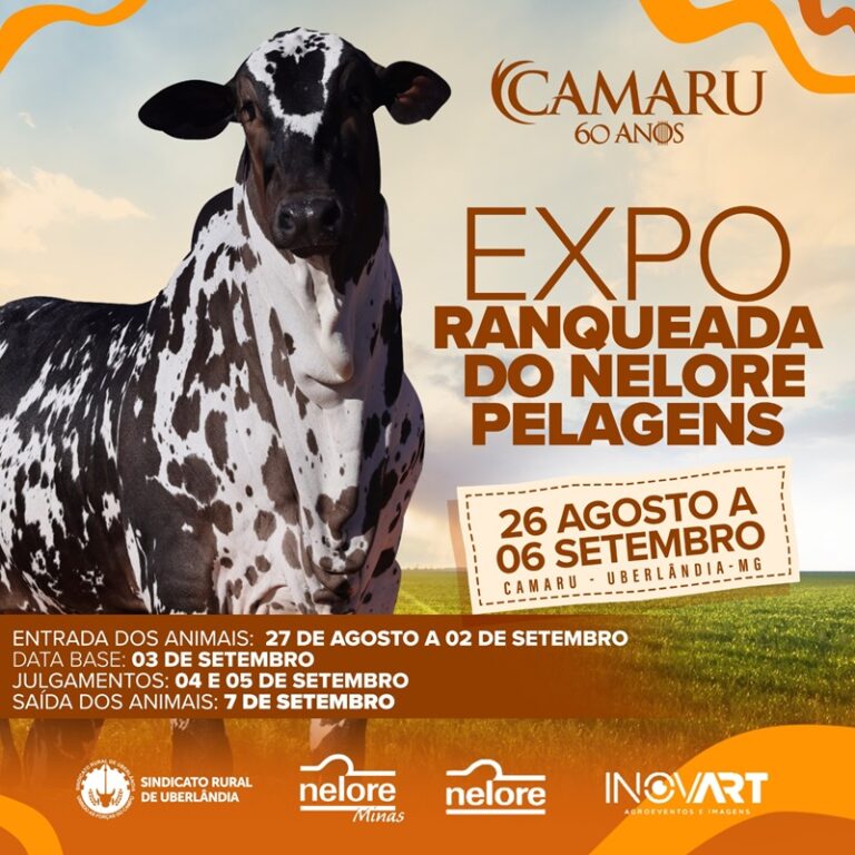 Camaru 2024 terá Exposição Ranqueada do Nelore Pelagens de Uberlândia