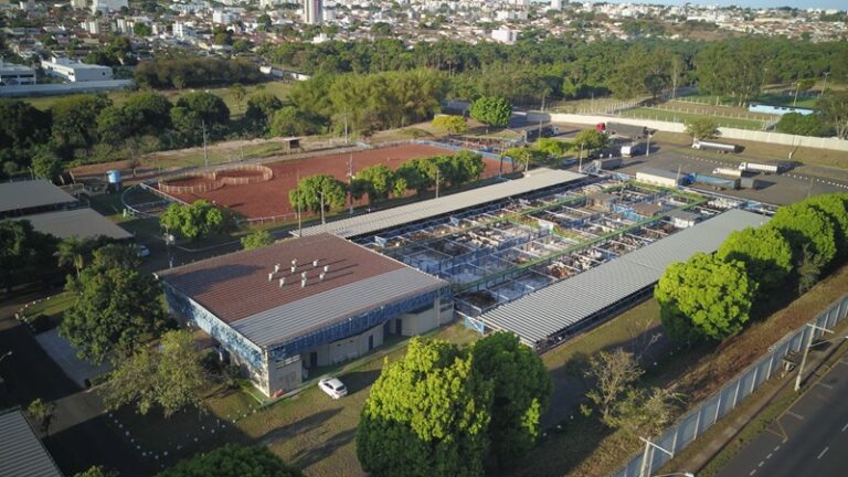 Leilão Gado de Corte Especial acontece no Parque de Exposições Camaru neste domingo