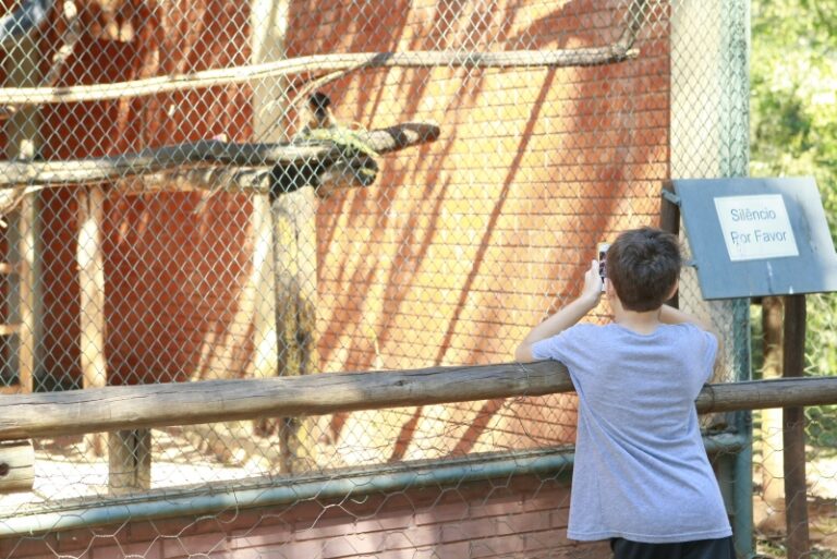 Além das grades: cuidados com os animais silvestres