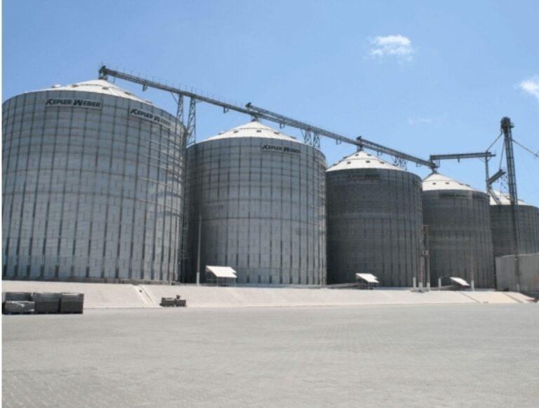 Tradição e inovação na avicultura Nordestina