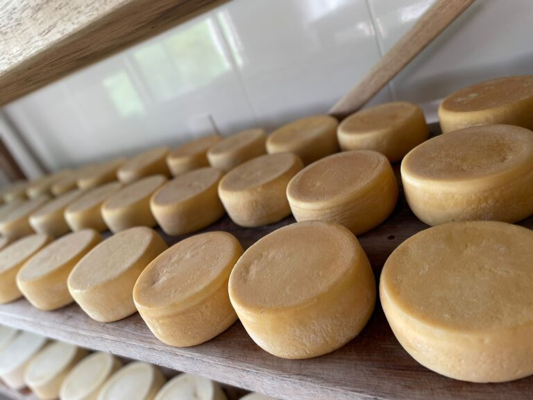 Festival Sabores do Cerrado celebra o empreendedorismo rural e a riqueza dos produtos artesanais do Cerrado mineiro