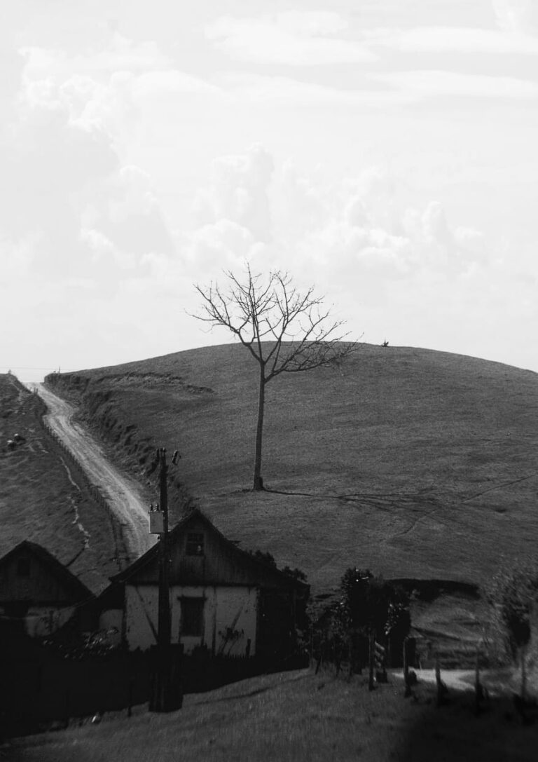 Giuliano Lucas e Frente Festival apresentam exposições no Centro de Artes Calouste Gulbenkian