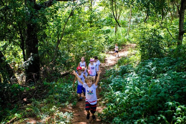 Férias Saudáveis: Diga Não ao Excesso de Telas e Sim à Natureza!