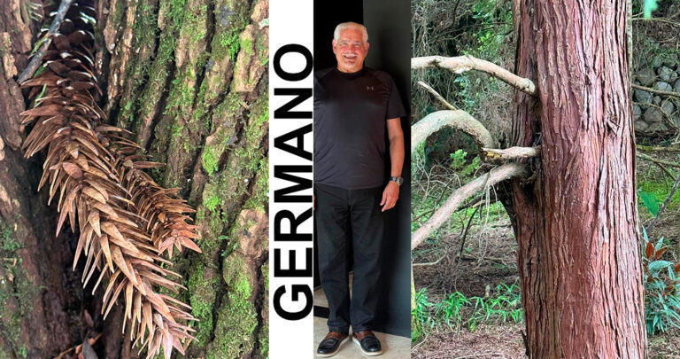 Germano Celebra Registro de Marca no INPI e Destaca a Beleza Oculta da Natureza