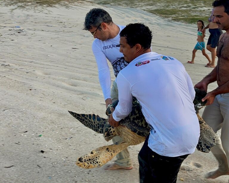 Prefeitura de Caucaia realiza resgate de tartaruga marinha com participação do presidente do IMAC, Felipe Ribeiro