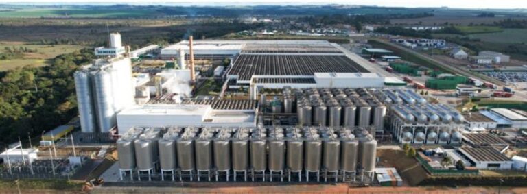 Heineken é a cerveja puro malte mais vendida do mercado em 2024