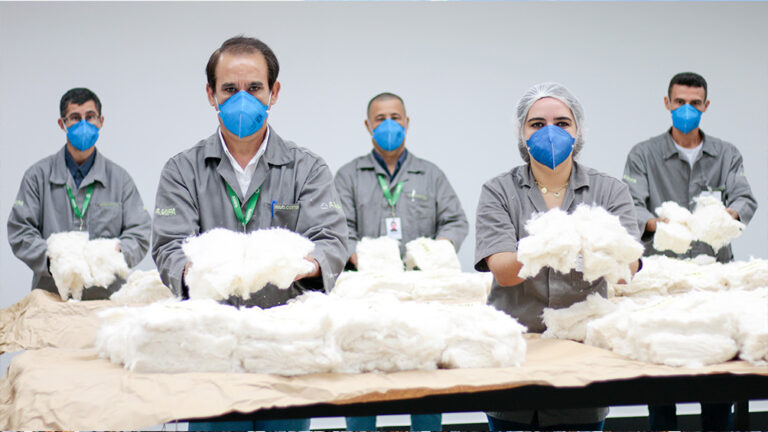 Laboratório Minas Cotton apresenta os resultados da safra mineira de algodão 2023/24