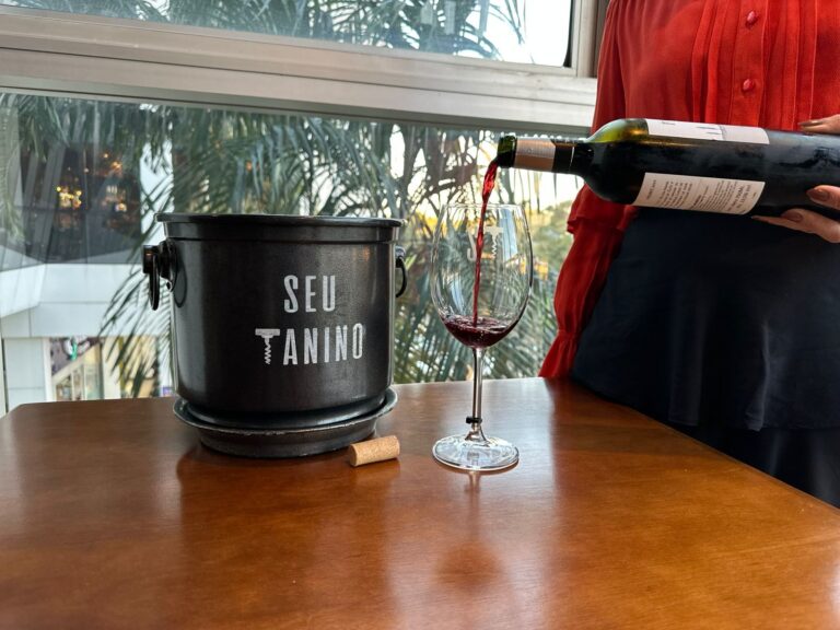 Vinhos para aquecer o inverno: especialistas indicam rótulos encorpados e harmonizações perfeitas para os dias frios