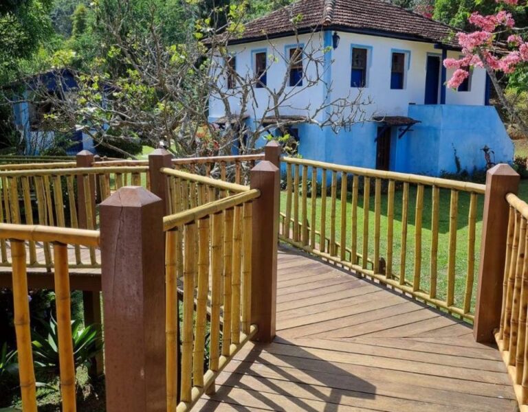 Exposição com artistas das APAEs de Minas encerra temporada neste sábado, no RJ