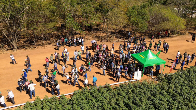 Circuito Técnico Amipa 2025: tecnologia e sustentabilidade marcam debates sobre a cotonicultura no Norte de Minas