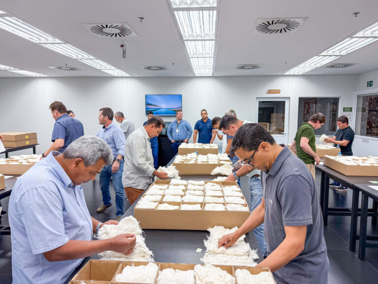 Amipa e Abrapa promovem workshop para padronizar classificação de contaminantes em pluma de algodão