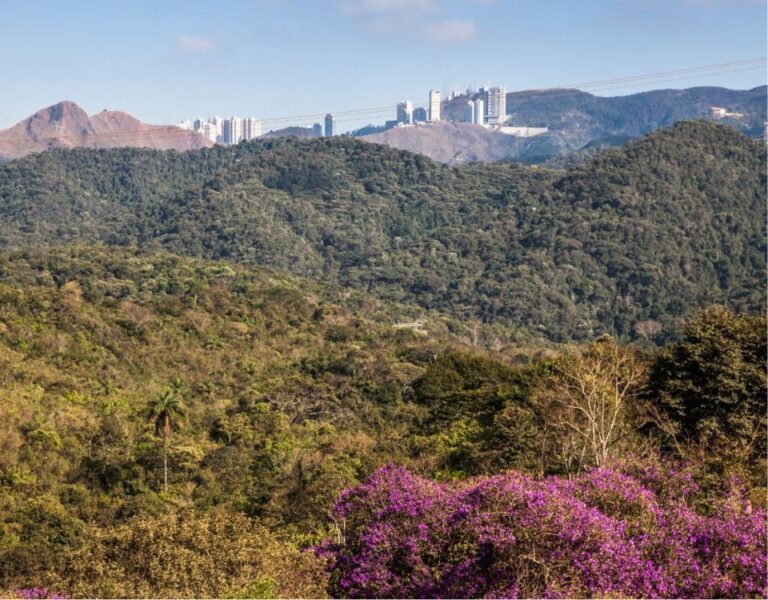 Vale realiza reunião pública sobre plano ambiental de fechamento da Mina de Águas Claras, em Nova Lima