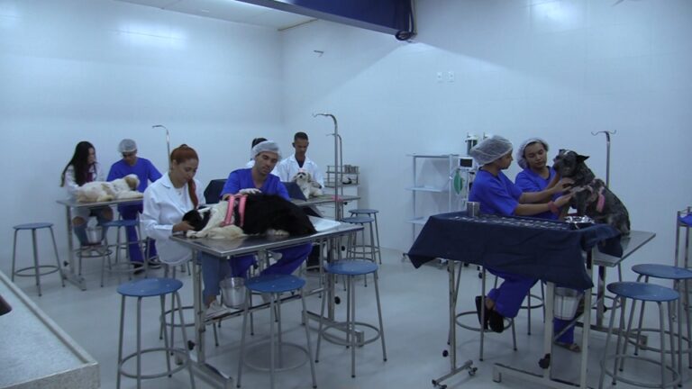 Curso de Medicina Veterinária da UNITRI realizará ação para o Outubro Rosa Pet